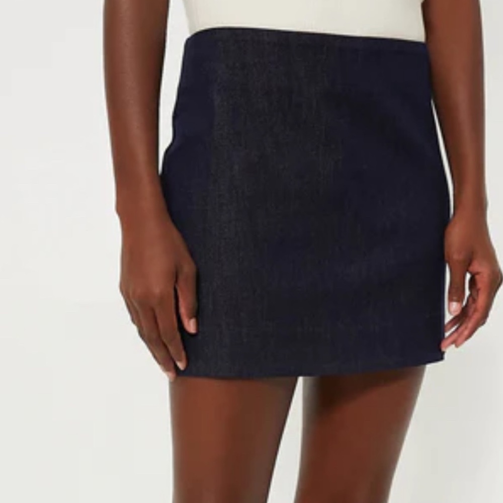 Tuckernuck Navy Mini Skirt